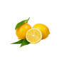 Limon Kabuğu Yağı 75 ML